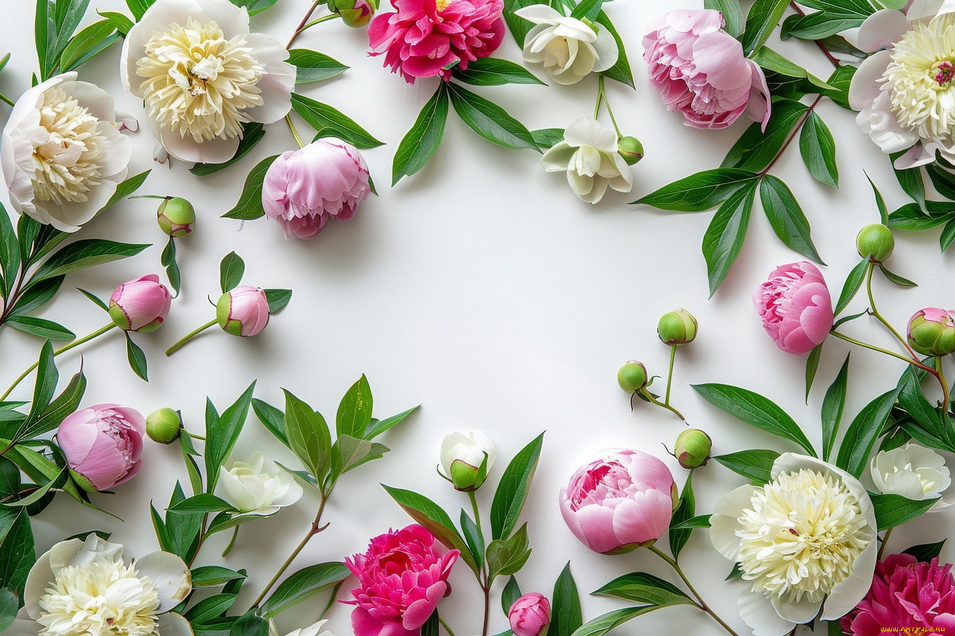 3 ,  , flowers, 